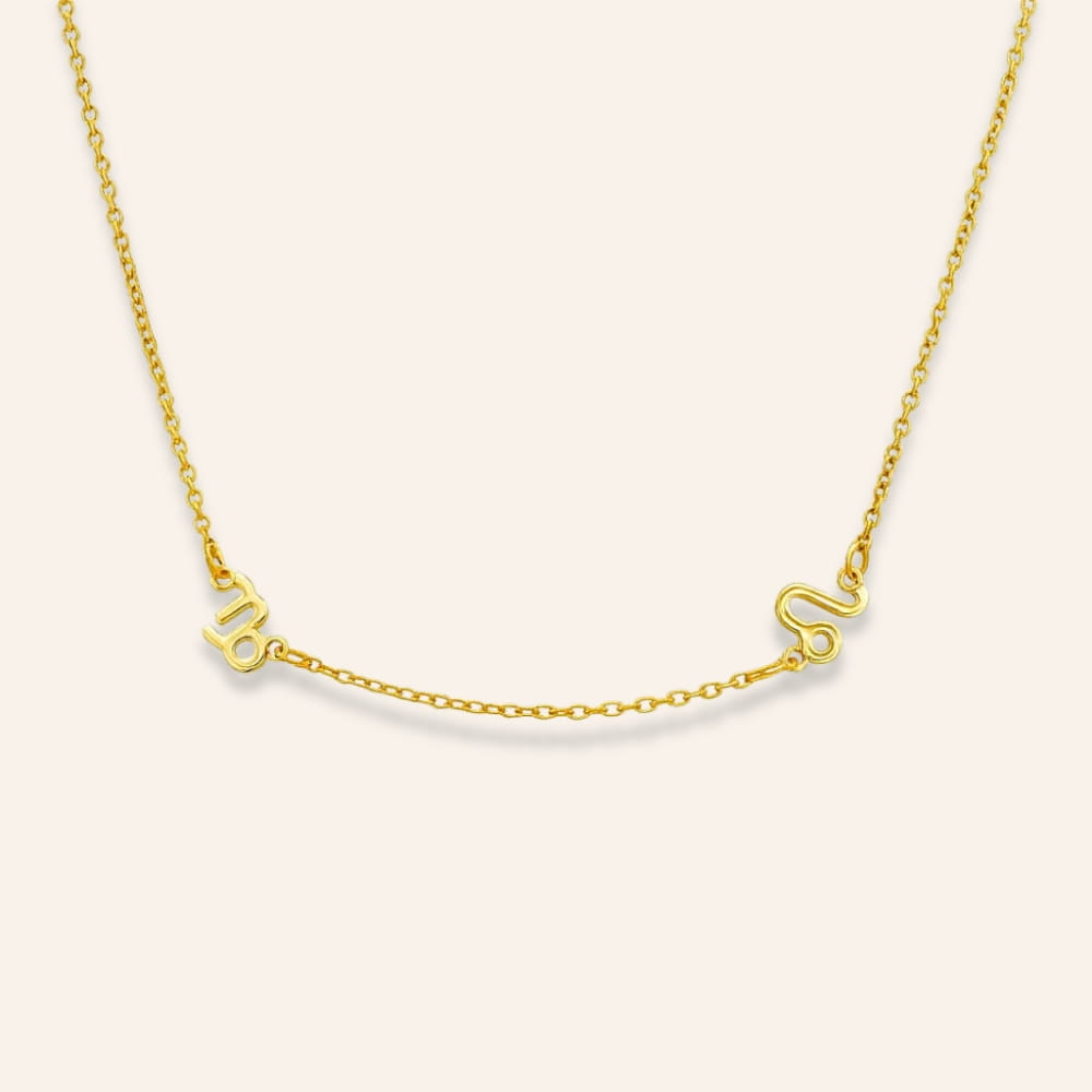 Necklace with Two Zodiac Signs
