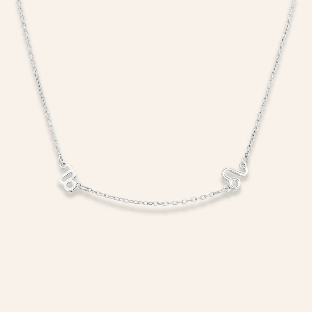 Necklace with Two Zodiac Signs